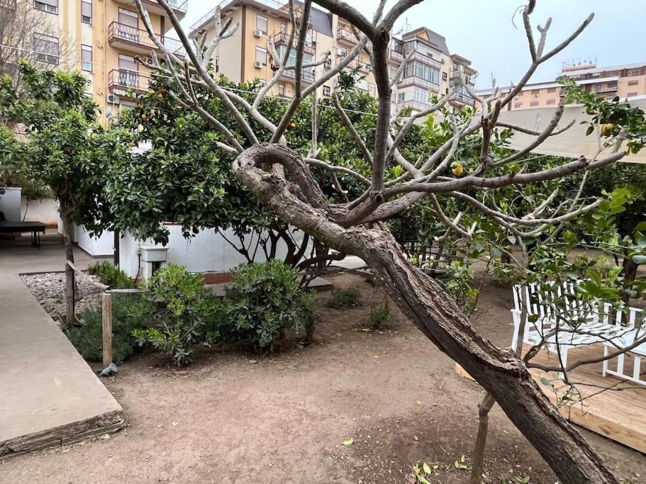 Casetta Bianca Palermo Exteriör bild